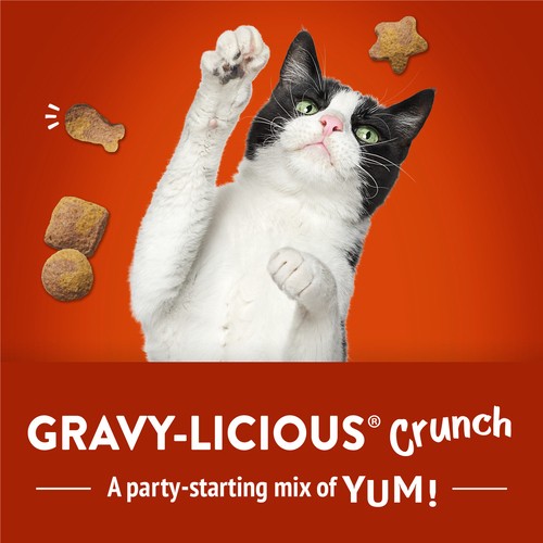 Friskies Cat Treats Party Mix Gravy-Licious Crunch Chicken And Gravy 170 g