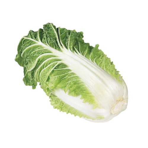 Napa Cabbage 1.3 kg