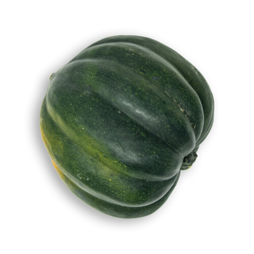 Acorn Squash 1 Count