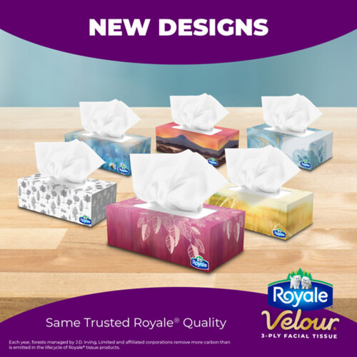 Royale Facial Tissue 3-Ply 12 Boxes x 88 Sheets