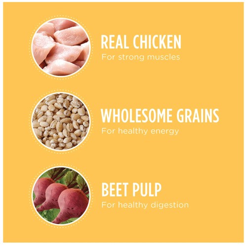 IAMS Puppy Dry Dog Food Chicken And Whole Grains 3.18 kg