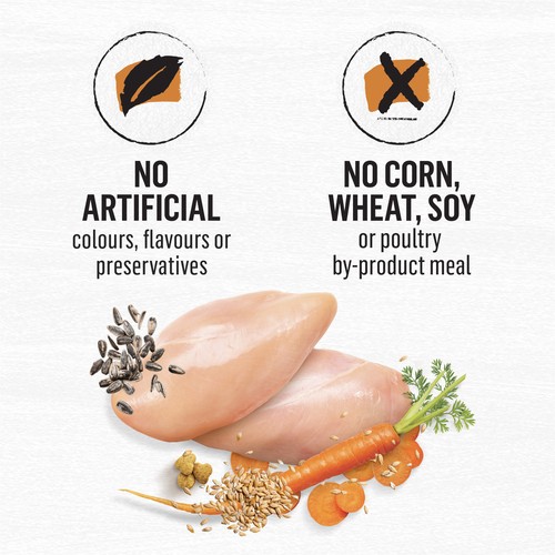Beyond Simply Dry Dog Food Farm-Raised Chicken & Whole Barley Recipe 1.67 kg