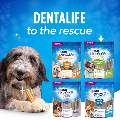 DentaLife Chews Mini Breeds Dog Treats 248 g