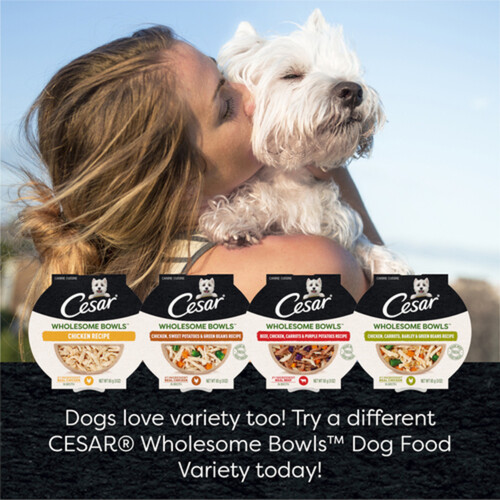 Cesar Wet Dog Food Adult Wholesome Bowls Chicken Carrots Barley & Green Beans 85 g