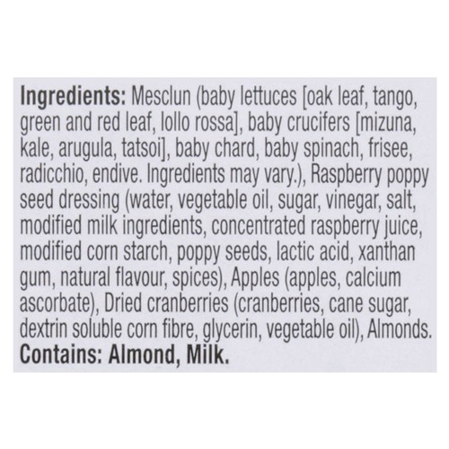 Fresh Attitude Salad Kit Spring Mix 143 g
