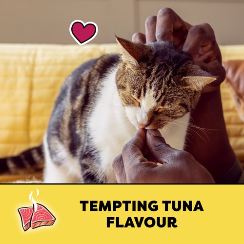 Temptations Cat Treats Tempting Tuna Flavour 180 g