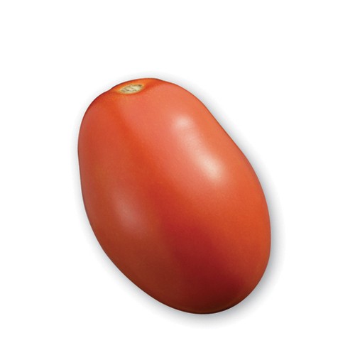 Roma Tomato (Plum Tomato) 2 Count