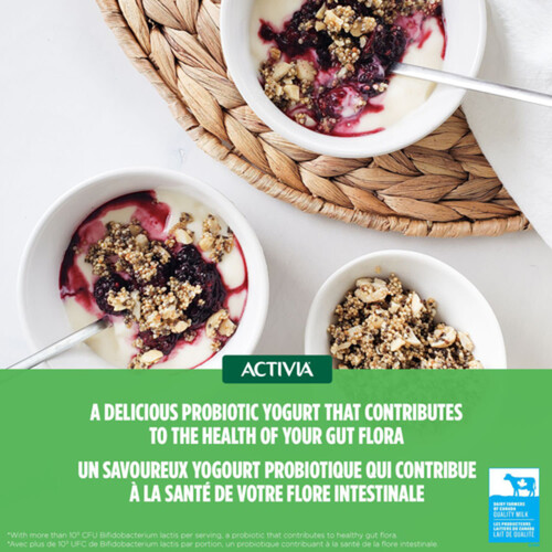Activia Lactose-Free Probiotics Yogurt Vanilla Strawberry Raspberry Cherry Value Size 12 x 100 g