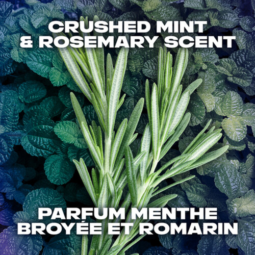 Axe Deodorant Bodyspray Phoenix Crushed Mint & Rosemary 113 g