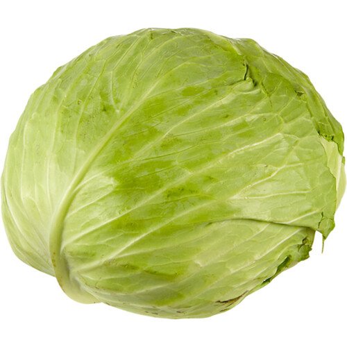 Flat Cabbage Large 1 Count