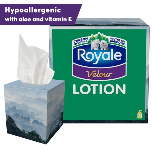 Royale Velour Lotion Facial Tissue 1 Cube Box x 54 Sheets