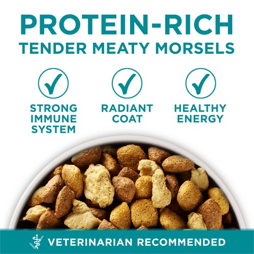 Purina ONE Dry Dog Food +Plus Large Breed Formula Chicken 7 kg