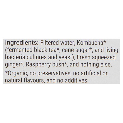Gutsy Kombucha+ Sparkling & Alive Beverage Ginger & Raspberry Bush 4 x 355 ml (cans)