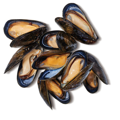 Product of NL Fresh Mussels 908 g