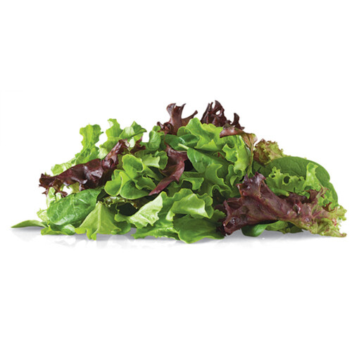 Organic Girl Perfect Mix 50% Baby Spring & 50% Baby Spinach 142 g