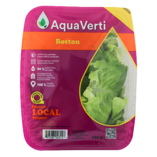 Aquaverti Boston Lettuce 