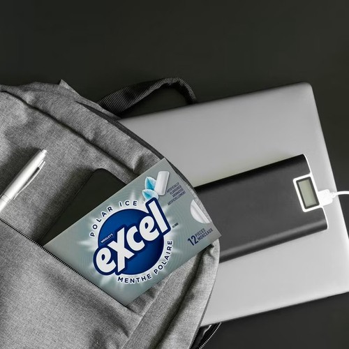 Excel Sugar Free Chewing Gum Polar Ice Flavoured Pack of 12 Pieces 1 EA