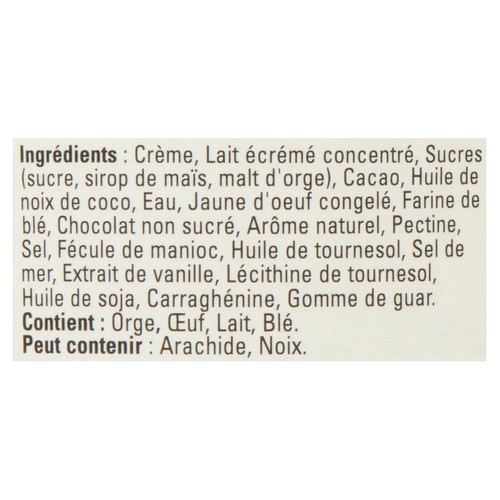 Ben & Jerry's Ice Cream Impretzively Fudged Core 473 ml