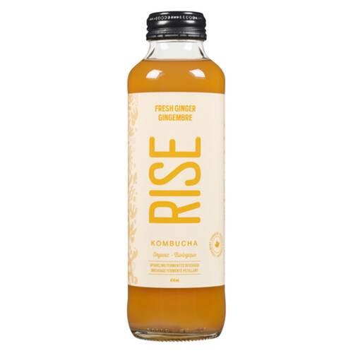Rise Organic  Kombucha Ginger Tea 414 ml (bottle)