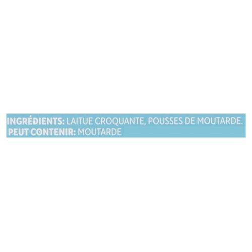 GoodLeaf Mélange printanier croquant 113 g