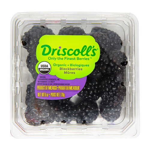 Organic Blackberries 170 g