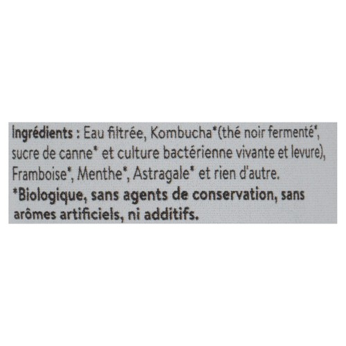 Gutsy Organic Kombucha Vitality Drink 355 ml (can)