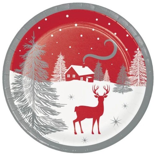 Creative Converting Winter Wonder 9-in Dinner Plate 8 Pack