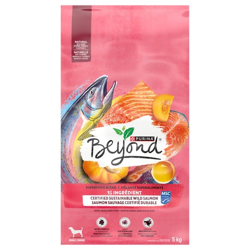 Beyond Dry Dog Food Wild Caught Salmon Egg & Pumpkin Recipe 5 kg