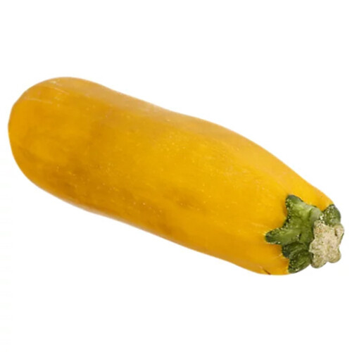 Zucchini Squash Yellow 1 Count