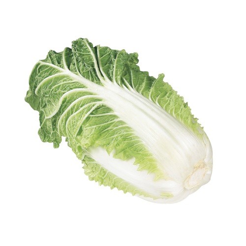 Napa Cabbage 1 Count