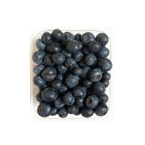 Organic Blueberries 340 g