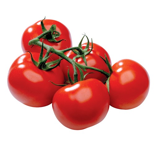 Organic Tomatoes On The Vine 4-6 Counts