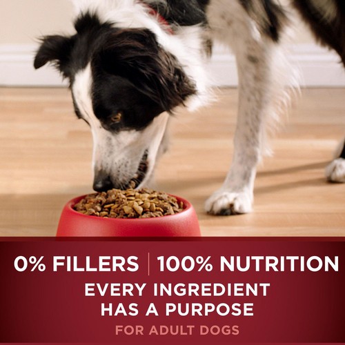 Purina ONE SmartBlend True Instinct Salmon & Tuna Dry Dog Food 1.72 kg