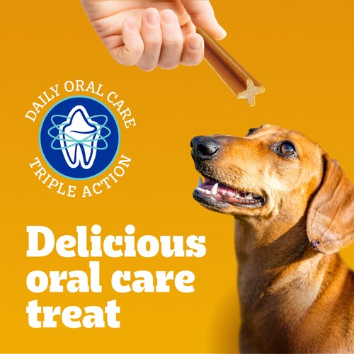Pedigree Dentastix Oral Care Small Adult Dog Treats Original 553 g