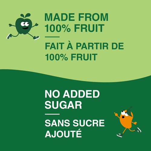 GoGo Squeez Fruit Sauce Snack Pouches No Sugar Added Variety Pack 12 x 90 g