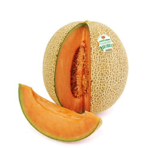 Cantaloupe Magnificent Size 8/9/10 1 Count 