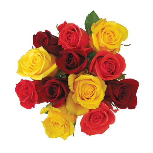 Rose Rainbow 1 Dozen 