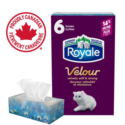 Royale Velour Facial Tissue 3 Ply 6 Boxes x 82 Sheets