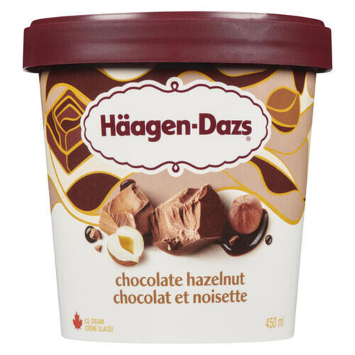 Haagen-Dazs Ice Cream Chocolate Hazelnut 450 ml