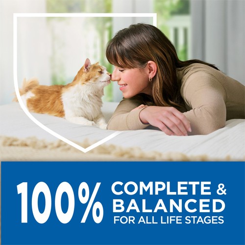 Cat Chow Complete Dry Cat Food Real Salmon 1.6 kg