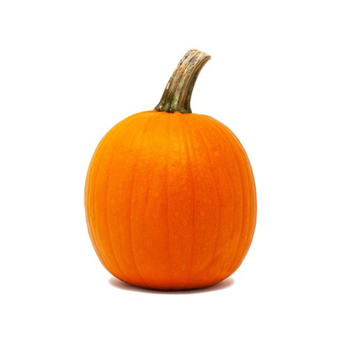 Pie Pumpkin 1 Count