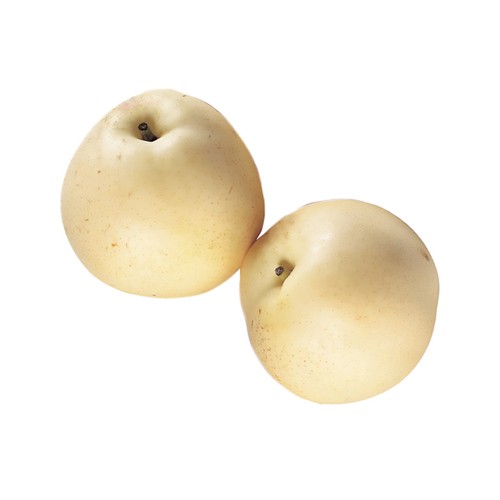 Asian Pear 2 Count