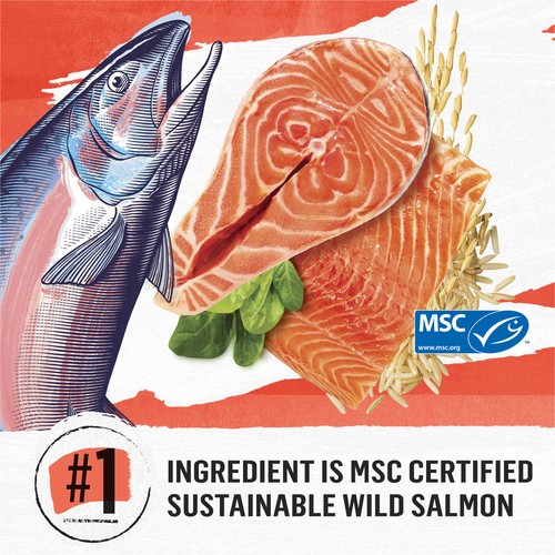 Beyond Simply Dry Cat Food Salmon & Whole Brown Rice Recipe 2.72 kg