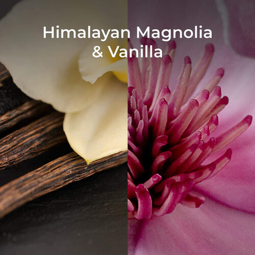 Air Wick Botanica Air Freshener Twin Refill Himalayan Magnolia & Vanilla 2 x 20 ml