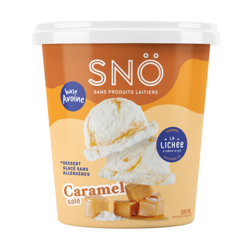 SNO Vegan Frozen Dessert Dulce de la lichee 500 ml