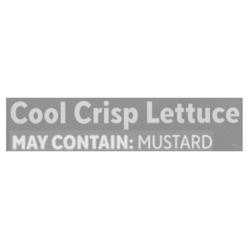 GoodLeaf Cool Crisp Lettuce 113 g