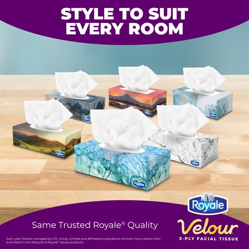 Royale Velour Facial Tissue 3 Ply 6 Boxes x 82 Sheets