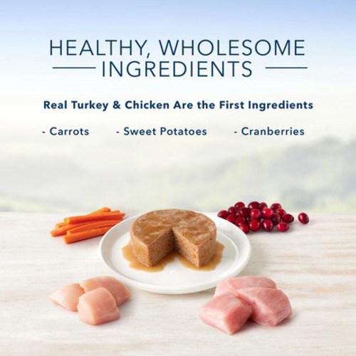 Blue Buffalo Wet Cat Food Healthy Gourmet Paté Turkey Chicken Entrée 155 g