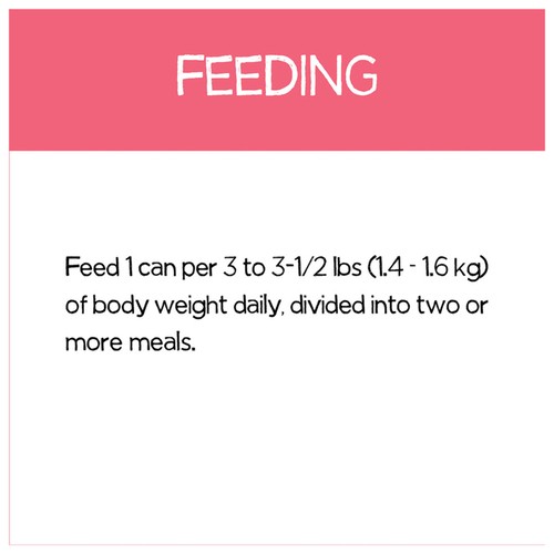 Beneful Incredibites Wet Dog Food Real Salmon In Gravy 85 g