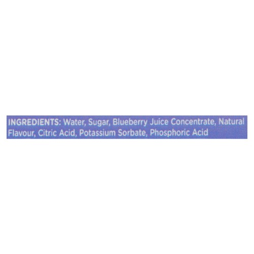 East Coast Craft Soda Blueberry Creme 355 ml (can)